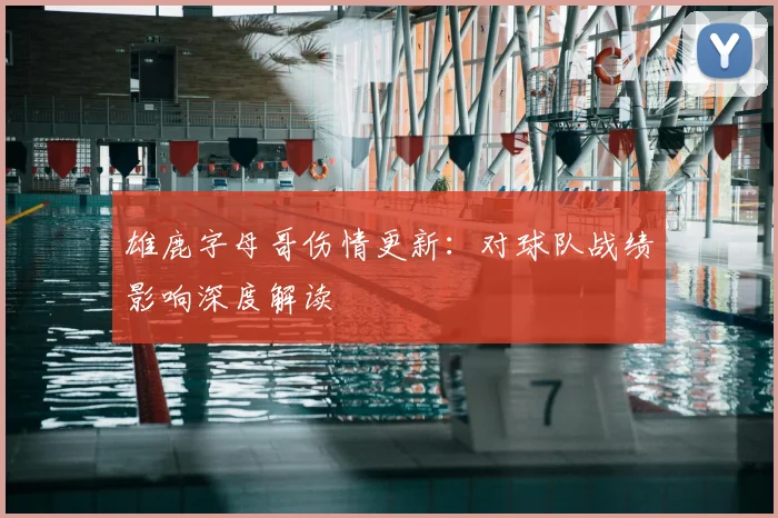 雄鹿字母哥伤情更新：对球队战绩影响深度解读